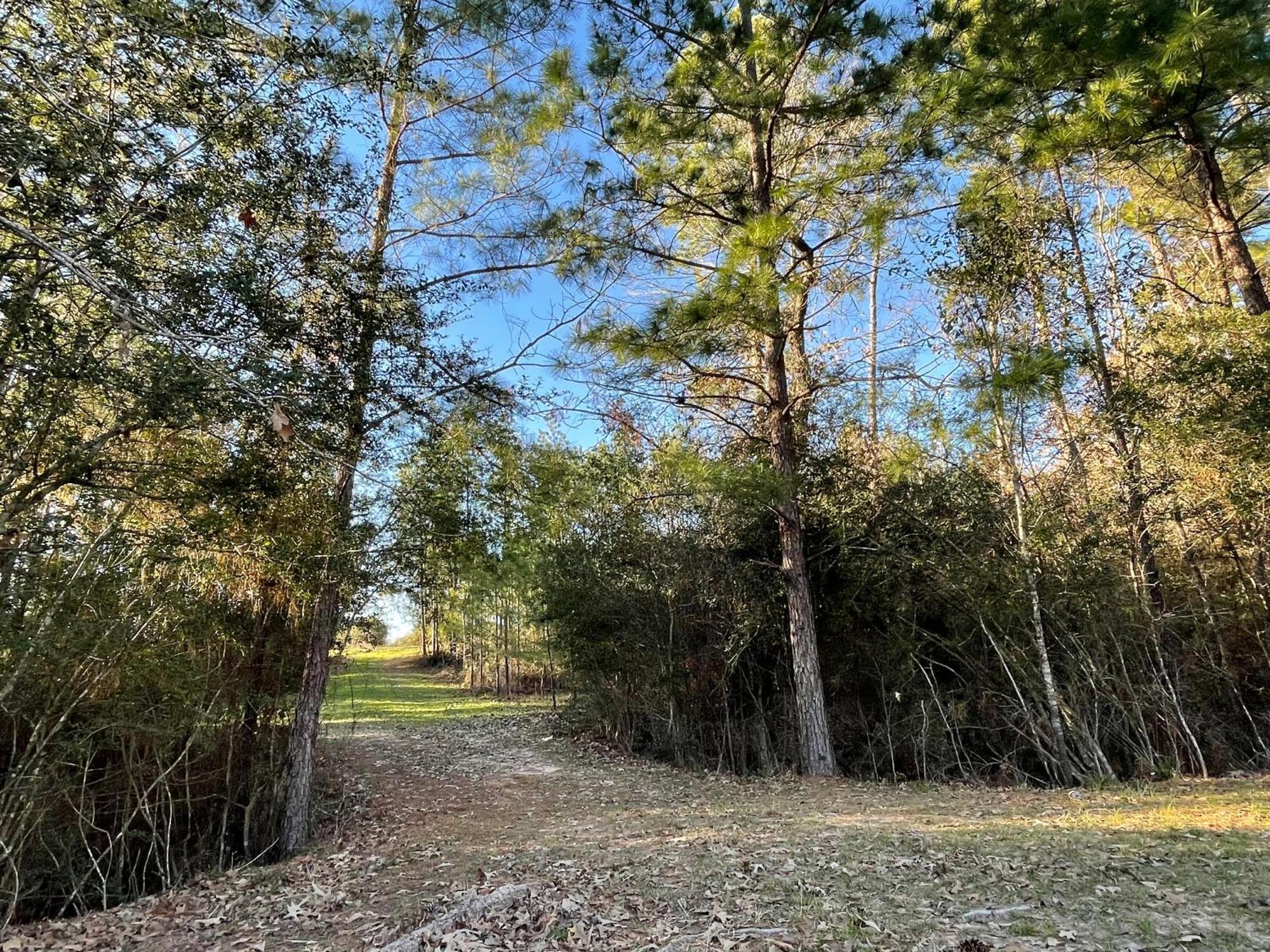 Country Getaway 4 Bedroom Resort In 10 Acre Lot Magnolia Exteriér fotografie